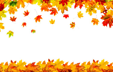 Colorful autumn leaves frame isolated on white background