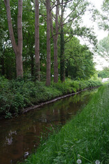 Fototapeta na wymiar Fluss Natur Wald Wasser