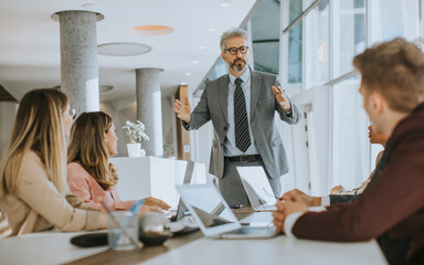 Mature businessman explaining strategy to group of multiethnic business people while working on new project