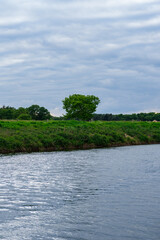 Wasser Natur Pflanzen