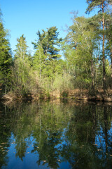 Obraz premium Natur Wald See