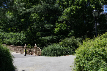 Empty Trail with Green Trees and Plants at Central Park in New York City during Spring near a Bridge