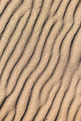 Fototapeta na wymiar Wavy pattern sandy texture of clean beach sand surface. Coastline travel background with copy space
