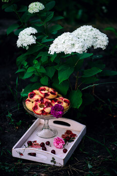 Baked cherry dougnuts in the garden