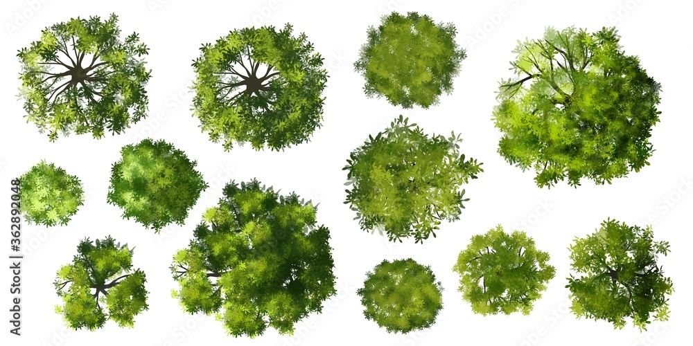 Wall mural set of trees top view for landscape and architecture elements