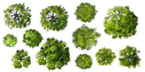 Set of trees top view for landscape and architecture elements
