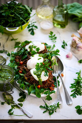 Pulled pork and vegy hash arugula chmichurri. selective focus