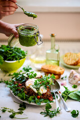 Pulled pork and vegy hash arugula chmichurri. selective focus