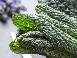 Bunch of organic Tuscan kale, closeup. Healthy green eating