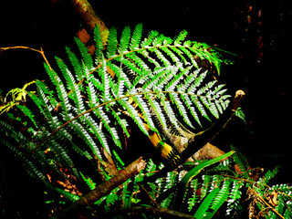 輝きに照らされて