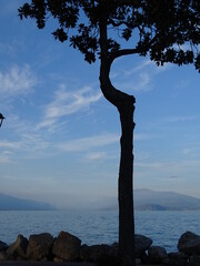 view to the lake - lago di garda