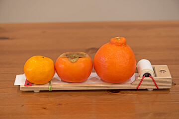 mandarine, persimmon and tangelo