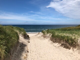 Strand Dünen Dänemark path to the sea