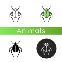 Scarab beetle icon. Linear black and RGB color styles. Small arthropod, egyptian bug, desert inhabitant. Zoology, entomology, ancient Egypt culture. Dung beetle isolated isolated vector illustrations