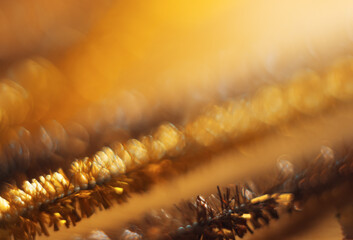 blurred Golden creative background