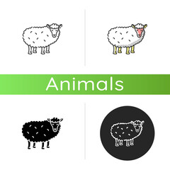 Sheep icon. Linear black and RGB color styles. Common countryside mammal, farm wildlife, domestic animal. Livestock breeding, husbandry, farming. Wooly lamb isolated isolated vector illustrations