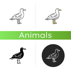 Seagull icon. Linear black and RGB color styles. Common seabird, ordinary flying animal. Beaches and coastlines inhabitant. Zoology, ornithology. Sea mew, gull isolated isolated vector illustrations