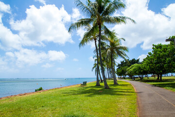 Fototapeta na wymiar Walkway at sea Coconut trees with blue sky background