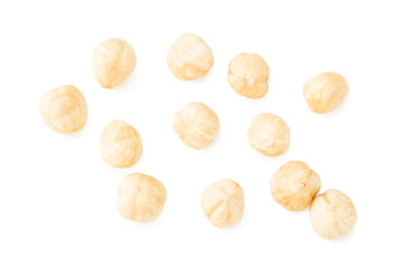 hazelnuts isolated on white background. top view