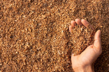 A lot of sawdust in the hands of men.