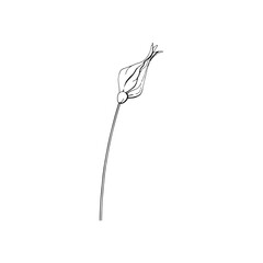 Fototapeta premium Black and white line art decoration of flower with leaves. Vector isolated clipart. Minimal monochrome hand drawing botanical design. Contour engraving bud.