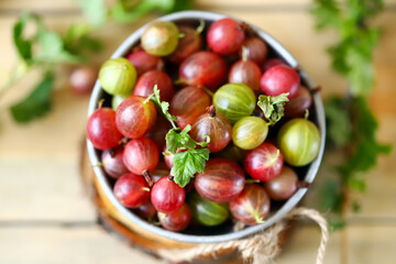 Selective focus. Macro. Gooseberries in a bowl on a wooden surface. Gooseberry leaves and branches. Harvest gooseberries. Rustic style.
