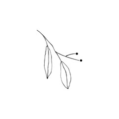 Contour foliage. Black and white line art decoration of leaves.  Vector isolated clipart. Minimal monochrome hand drawing botanical design.