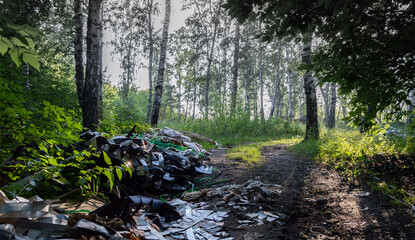 Topics of ecology and environmental pollution. Dump in the birch forest. Irresponsibility of people...