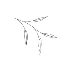 Black and white line art decoration of branch with leaves.  Vector isolated clipart. Minimal monochrome hand drawing botanical design. Contour engraving foliage