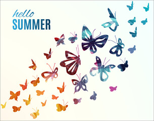 Hello summer. Summer butterfly vector