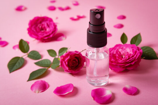 Rose Water Spray With Pink Fresh Flowers And Petals On Pink Background