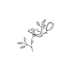 Black and white line art decoration of flower with leaves.  Vector isolated clipart. Minimal monochrome hand drawing botanical design. Contour engraving bud