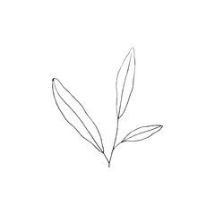 Black and white line art decoration of flower with leaves.  Vector isolated clipart. Minimal monochrome hand drawing botanical design. Contour engraving bud