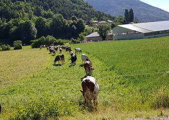 Sault - Baronnies - Dévoluy