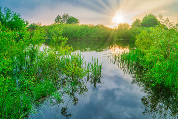 Sunset at river with reflection sun beams in water through green forest with green leaves