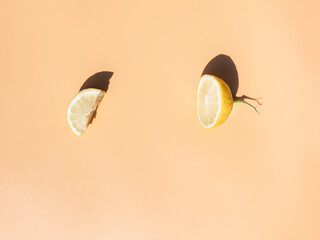 Half a lemon and a slice of lemon isolated on light background