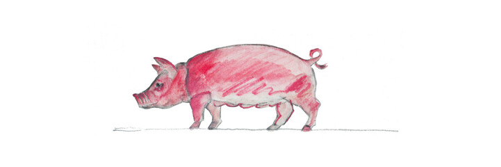 Abbildung eines rosa Schweines, Muttersau, Sau in artgerechter Haltung, Tierschutz und Tierliebe, vegan leben