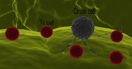 Cancer cell attacked by Tc cells in 3d illustration