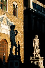 Piazza della Signoria Firenze - David di Michelangelo e Ercole e Caco di Baccio Bandinelli