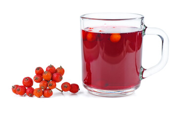 Glass of rowan stew isolated on white background