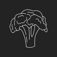 Hand drawn broccoli in white line, simple icon in doodle style. Vector illustration on isolated black background. 