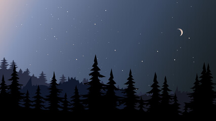 Fototapeta premium Night forest landscape. Beautiful nature scenery.
