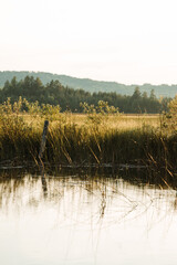 Post on the River (i)