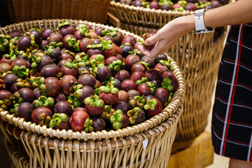 Fresh ripe mangosteen in basket.