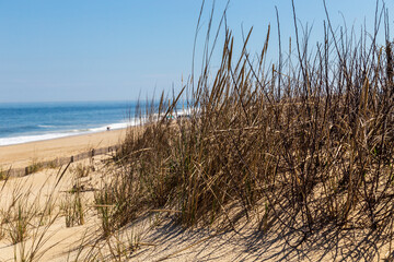 Delaware Ocean Sea Scape