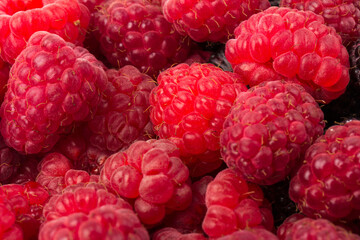 Fresh black and red raspberry isolated on white background. Berry in close-up