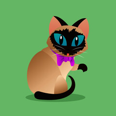 cat licking, gato lamiéndose