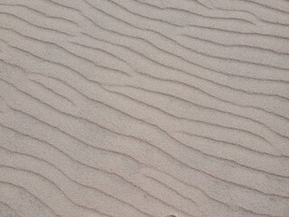 Sand Dune texture in southern Colorado