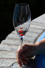 Glass with white wine and red berries in the hands of a woman
