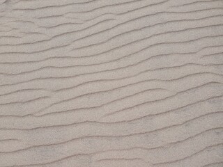 Sand Dune texture in southern Colorado